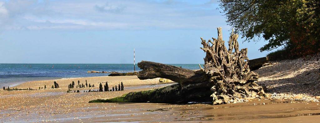 The Crab And Lobster Inn Bembridge Exterior photo